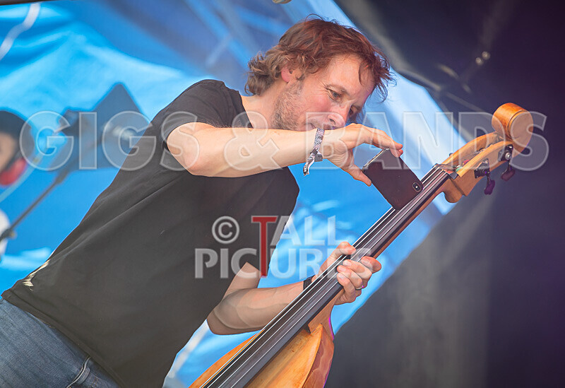 Buffalo Huddleston-741 - BUFFALO HUDDLESTON