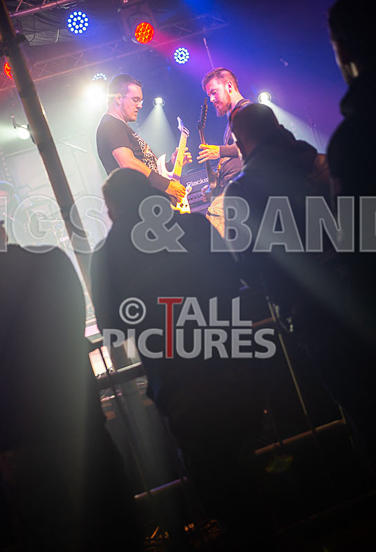 Demise of Sanity-182 - DEMISE OF SANITY