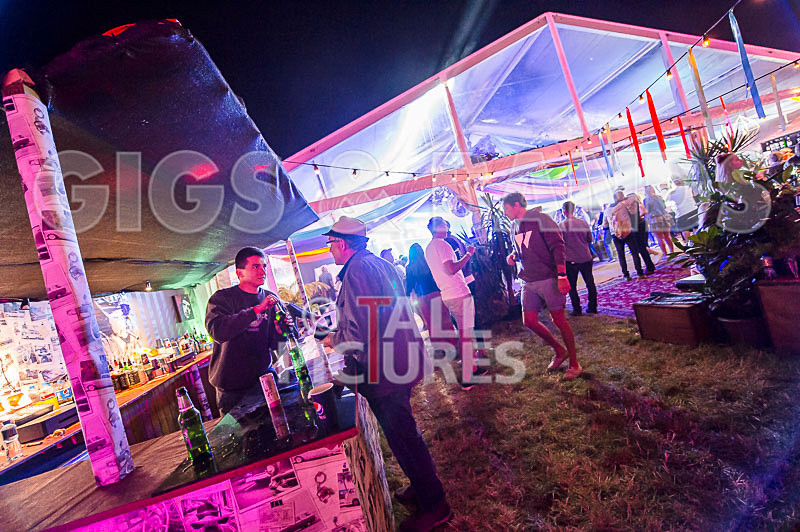 Weekender Festival 2017_Scene-97 - JERSEY WEEKENDER 2017_THE SCENE