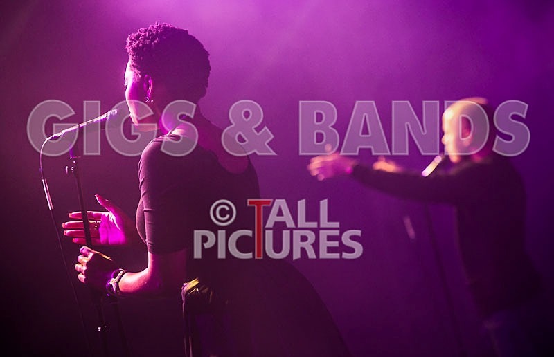 Maverick Sabre-48 - MAVERICK SABRE