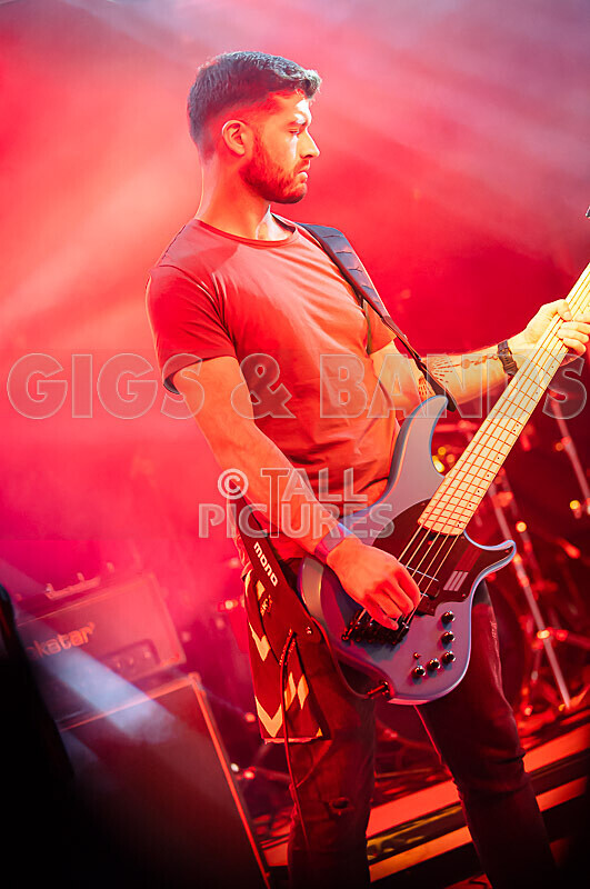 Demise of Sanity-251 - DEMISE OF SANITY