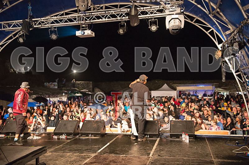 Vale Earth Fair 2015_Atmosphere-64 - VALE EARTH FAIR 2015_THE ATMOSPHERE