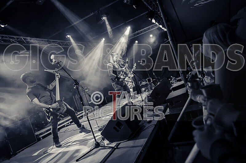 Demise of Sanity-246 - DEMISE OF SANITY