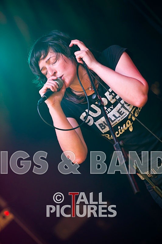 The Nelkons-43 - THE NELKONS at GREENMAN CHAOS 2010