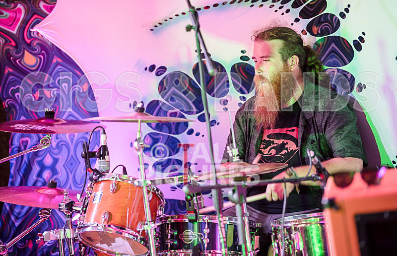 Honest Crooks-141 - HONEST CROOKS