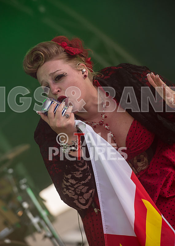 Static Alice-348 - STATIC ALICE