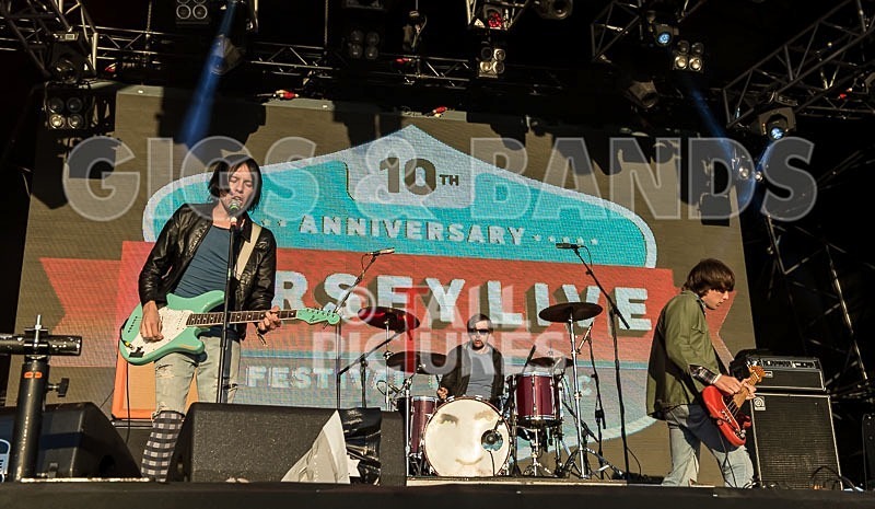 The Cribs-10 - THE CRIBS