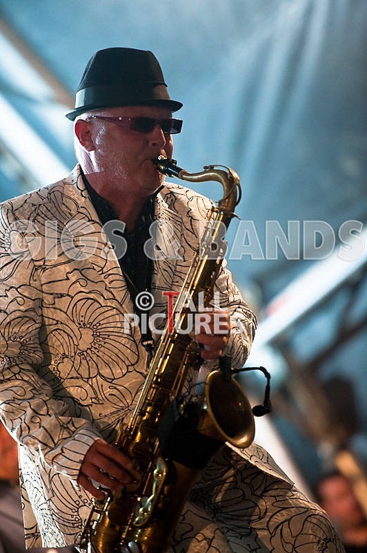 Madness-26 - MADNESS