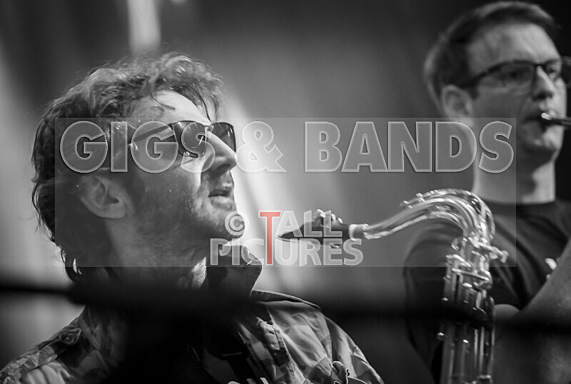 Sons of the Desert-373 - SONS OF THE DESERT