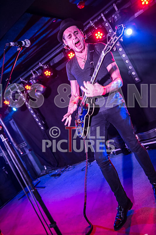 Heymoonshaker-15 - HEYMOONSHAKER