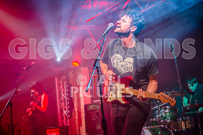 The Tarantulips-13 - THE TARANTULIPS