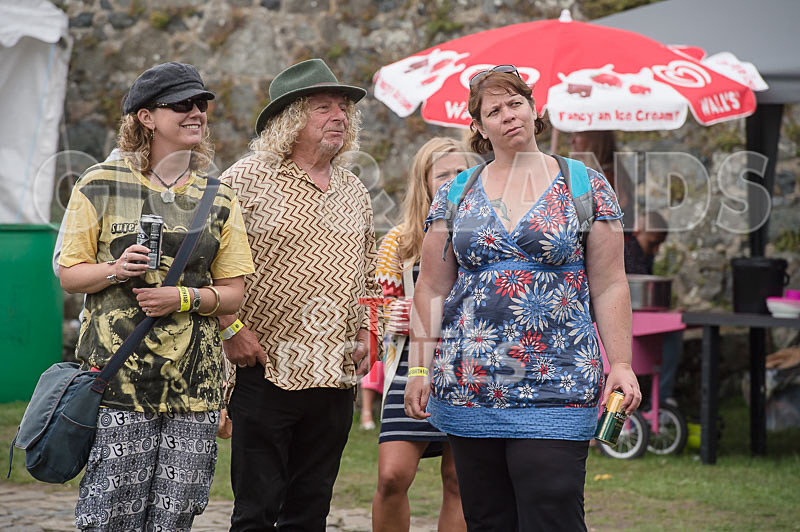 Vale Earth Fair 2015_Atmosphere-31 - VALE EARTH FAIR 2015_THE ATMOSPHERE