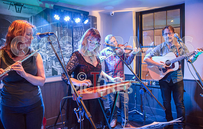 Blue Mountains-63 - BLUE MOUNTAINS