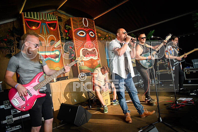 Arctic Donkeys-1 - ARCTIC DONKEYS