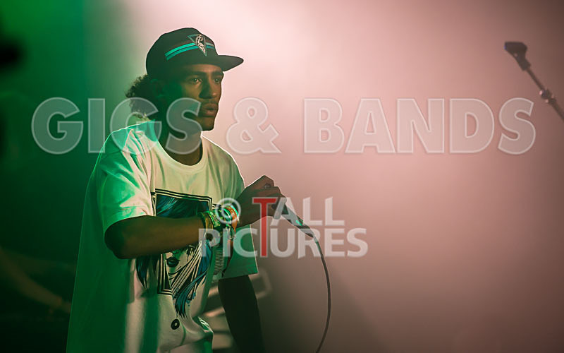 The Mouse Outfit-55 - THE MOUSE OUTFIT