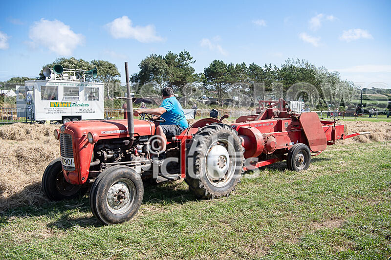 Guernsey Agricultural Show 2021-209 - GUERNSEY AGRICULTURAL SHOW 2021