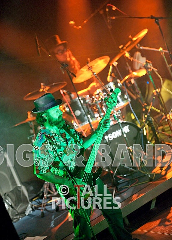 Peppered Ant Legs-10 - PEPPERED ANT LEGS at RoA-3