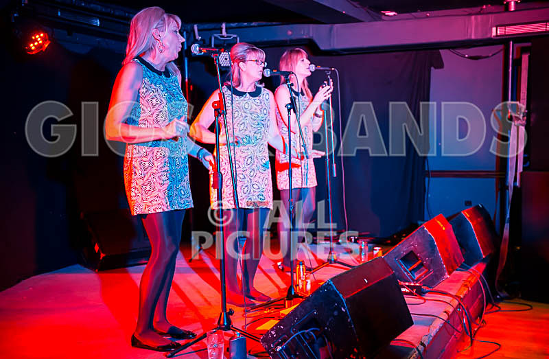 The Blondettes-20 - THE BLONDETTES