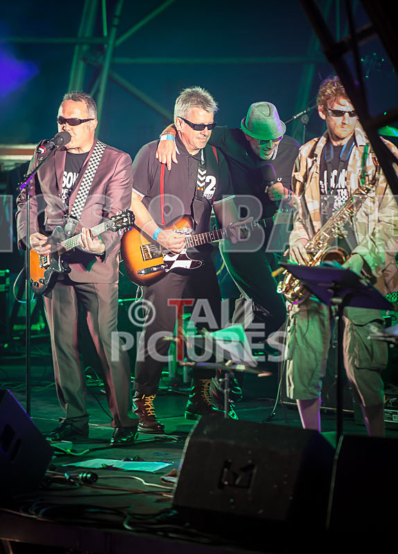 Sons of the Desert-334 - SONS OF THE DESERT