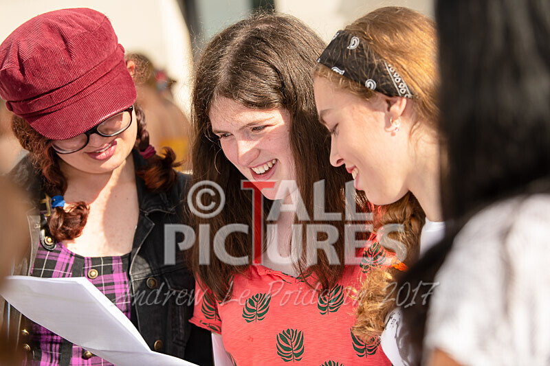 GCSE Results 2019-1 - 2019 GCSE RESULTS