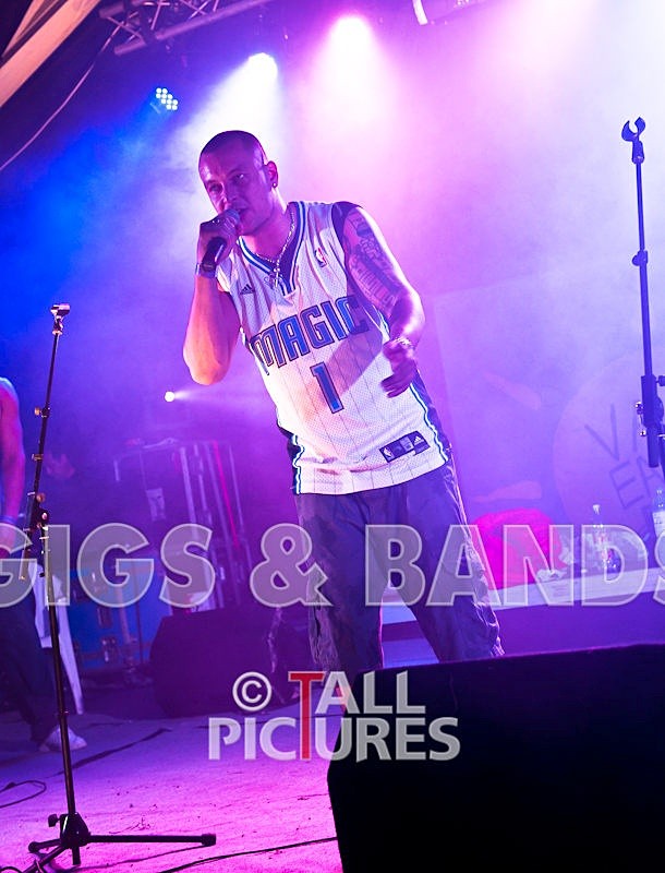 Asylum Seekas-24 - ASYLUM SEEKAS AT IVY CASTLE