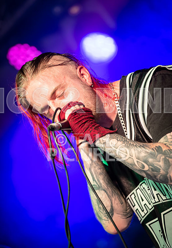 From Darkness-30 - FROM DARKNESS