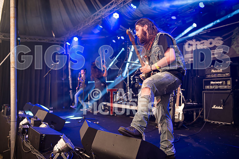 Stone Em All-212 - STONE EM ALL