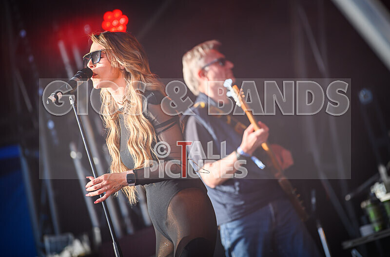 Element 6-68 - ELEMENT 6