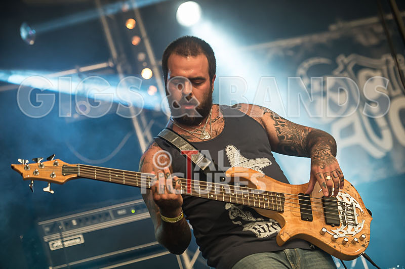 Static Alice-105 - STATIC ALICE