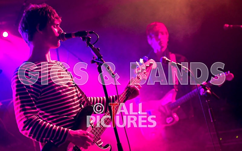 China Aster-36 - CHINA ASTER at RoA-9