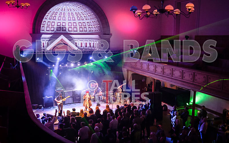 Static Alice-810 - STATIC ALICE