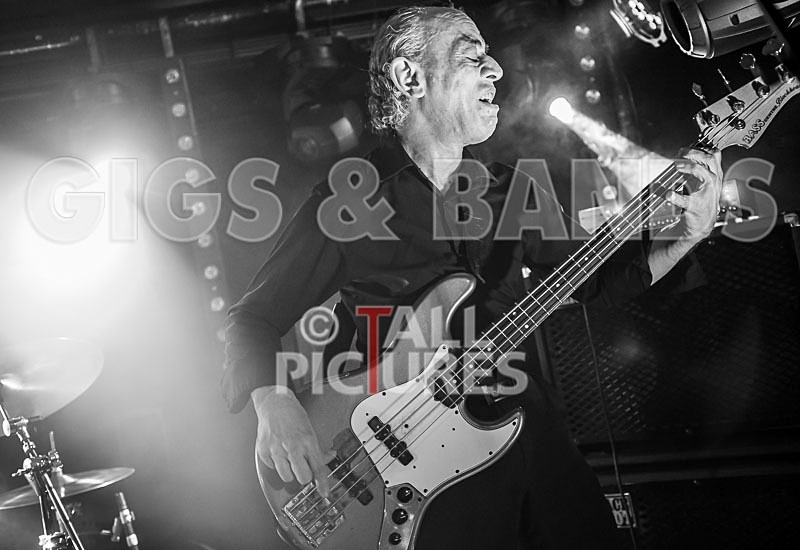 Wilko Johnson Farewell Tour-50 - THE WILKO JOHNSON BAND