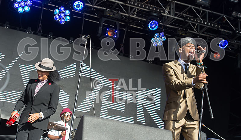 The Selecter-42 - THE SELECTER