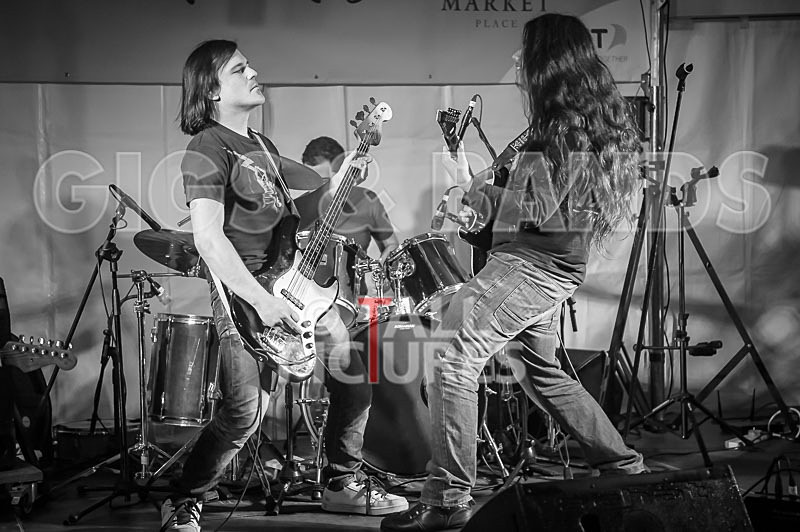 Stone Em All-370 - STONE EM ALL