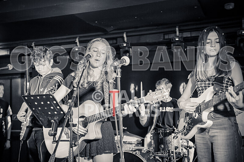 12 Gauge-36 - 12 GAUGE