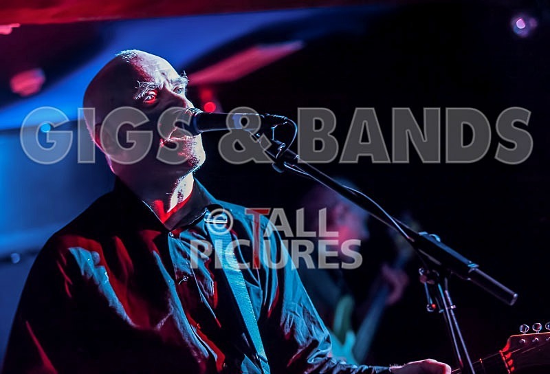 The Wilko Johnson Band-41 - THE WILKO JOHNSON BAND