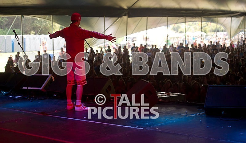 Twist  Pulse-8 - TWIST & PULSE