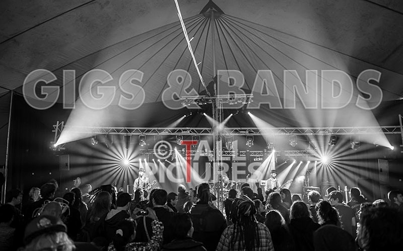 Peppered Ant Legs_Chaos8-17 - PEPPERED ANT LEGS