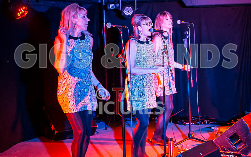 The Blondettes-11 - THE BLONDETTES
