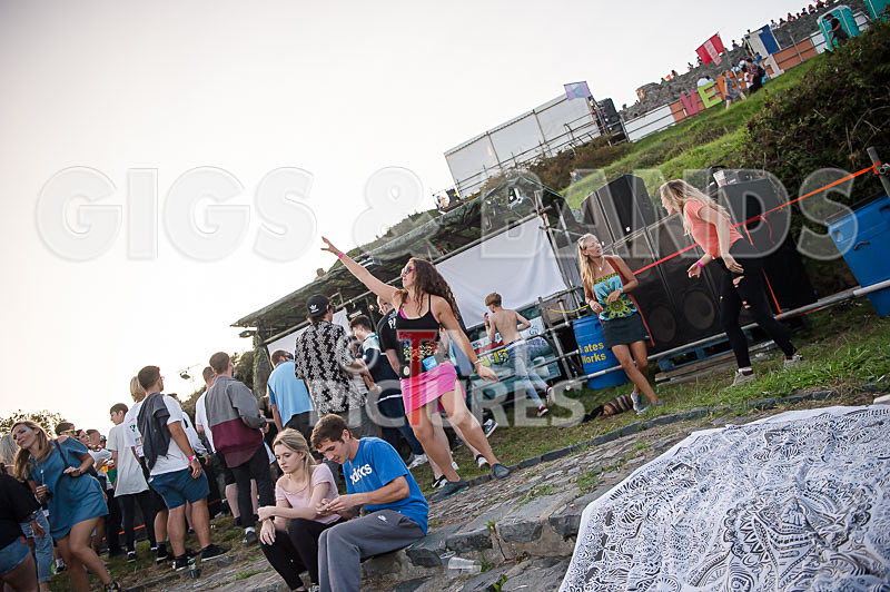 Vale Earth Fair 2017_SCENE-122 - VALE EARTH FAIR 2017_THE SCENE