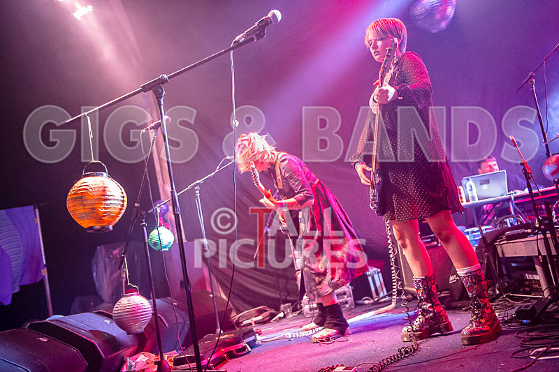 Track Not Found-495 - track not found