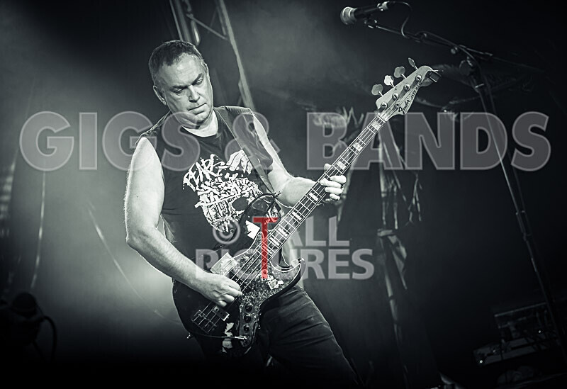 SUBHUMANS-43 - SUBHUMANS