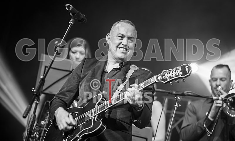 Harry Dean Junior and the New Breed-63 - HARRY DEAN JUNIOR AND THE NEW BREED