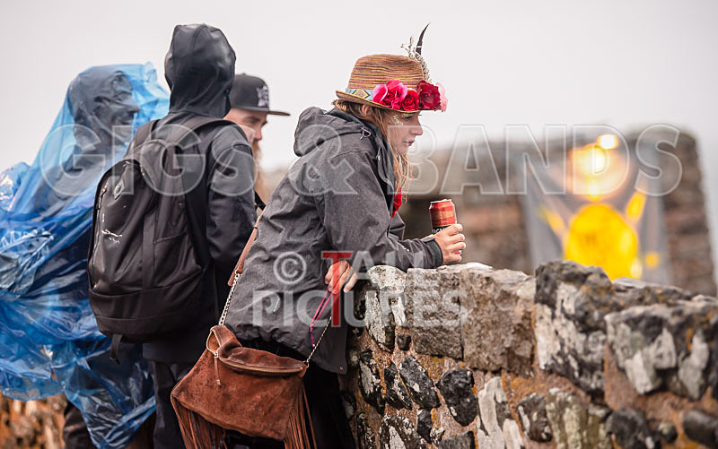 Vale Earth Fair 2018_SCENE-52 - VALE EARTH FAIR 2018_THE SCENE