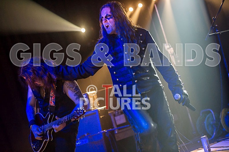 Gallus Cooper-7 - GALLUS COOPER