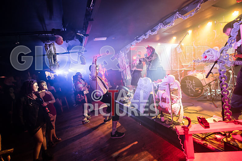 Static Alice-712 - STATIC ALICE