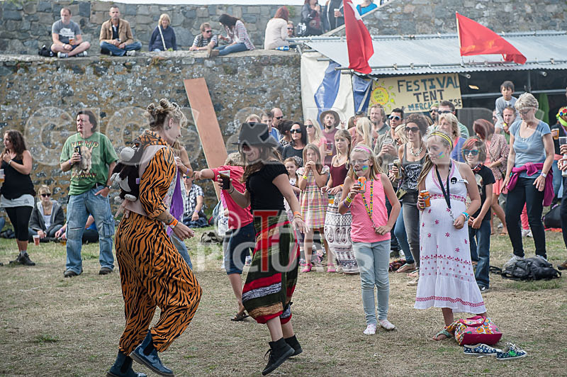 Vale Earth Fair_Atmosphere_2014-37 - VALE EARTH FAIR 2014 - THE ATMOSPHERE