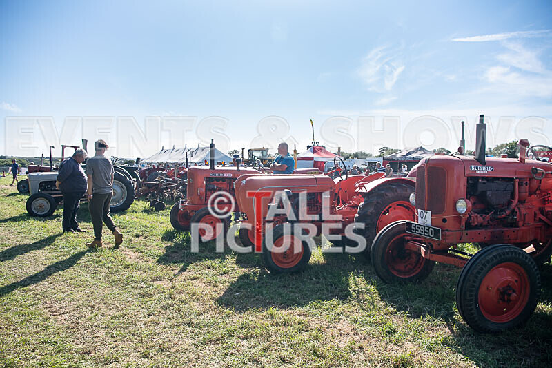 Guernsey Agricultural Show 2021-227 - GUERNSEY AGRICULTURAL SHOW 2021