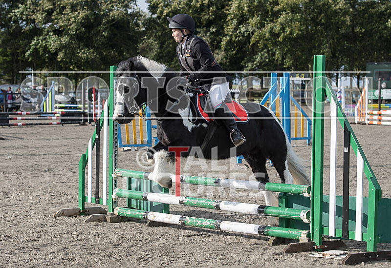 North Showjumping_2016-130 - NORTH SHOW SHOWJUMPING 2016