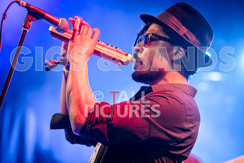 The Recks-855 - THE RECKS